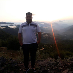 mojtaba ahmadi