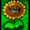 the potted pioneer