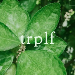 trplf : commission