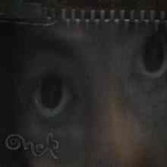 𑇣dahlilasewingneedlepins