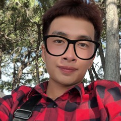 ✈️🇻🇳Vịt Donald 🐥🇯🇵🎚️