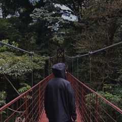 Insight