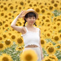 🌻NOCCHI