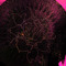 youniversesounds