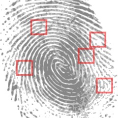 Overview On The Case of JonBenet Ramsey: In Under 10 Minutes Edition