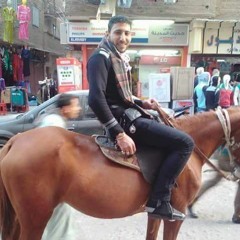 افرايم شوقي