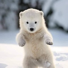 북극곰