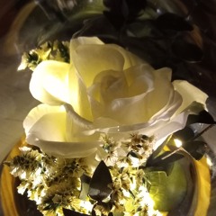 Philosophers Stone Studio