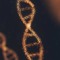 HisTone