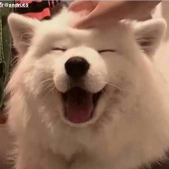 Wolfy Woof