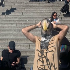 Al Shaheen Baby Falcon