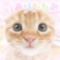 .𖥔 ݁ ꒰ Skych4ser ꒱ ˖༄