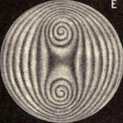 everythingandthemoon