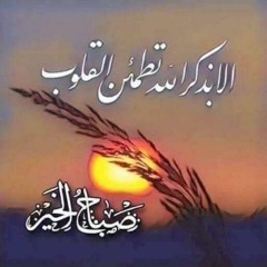 Walid ELbehiry