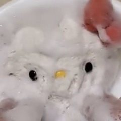 マロン