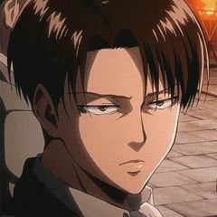 Levi