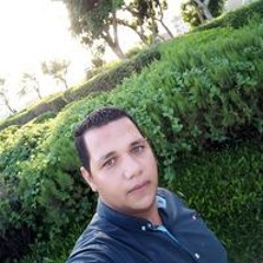 محمود سيد حسين