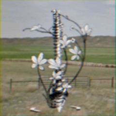frayspine