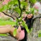 Somya Aggarwal