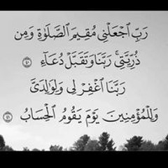 شريف الجزار