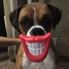 Cranjis McBasketball