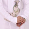 ﮼البدري