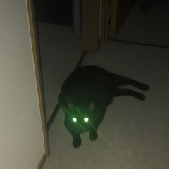 Akari
