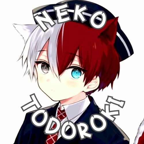 Neko Todoroki’s avatar