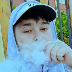 RixyVice