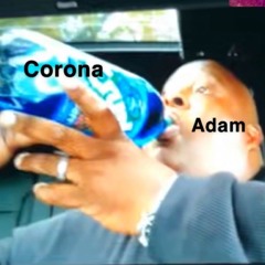 adam.
