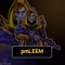 pmLEEM