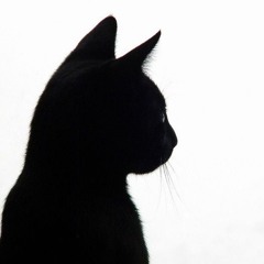 catmob
