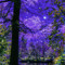 violetluvrz