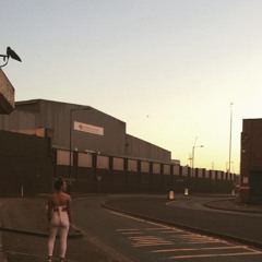 holliezarelli