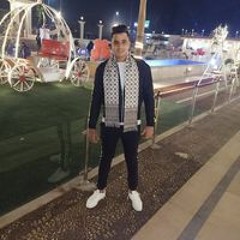 حسام محمود