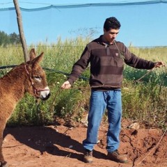 Charaf-eddine Mouqadem