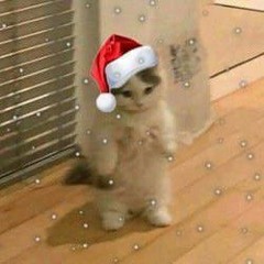 Little Birds Neutral milk hotel