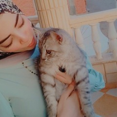 Sara Hamed