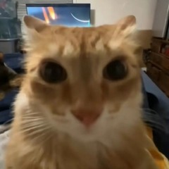 bmaoqz