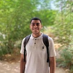 Kareem Mohamed