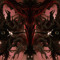 Lonestar66613