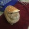 Hampter with pancake