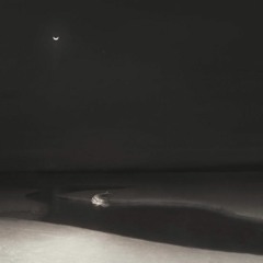 Noura