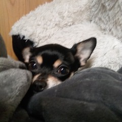 Spike