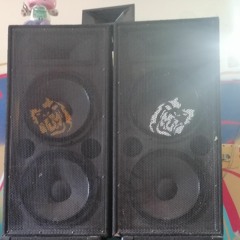 sound of the mutants