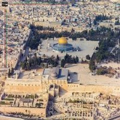 طاهر الشركسي