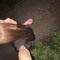 валютина