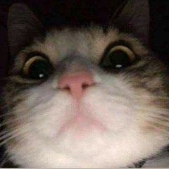 daddylikescats