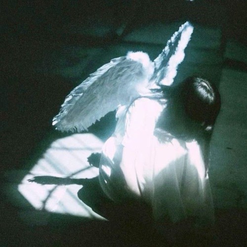 Dion - Still