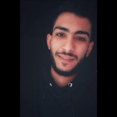 elsayed tawfik